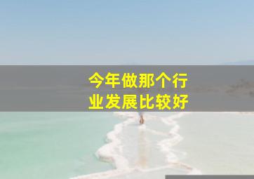 今年做那个行业发展比较好