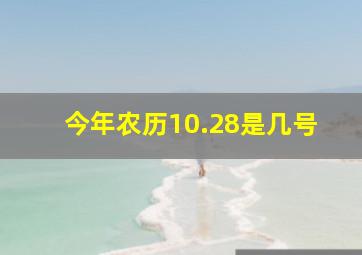 今年农历10.28是几号