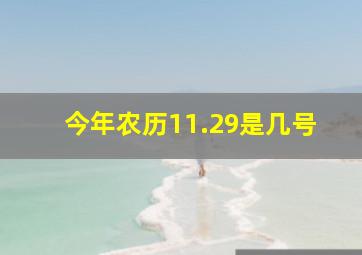 今年农历11.29是几号