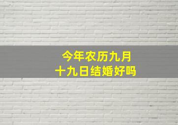 今年农历九月十九日结婚好吗