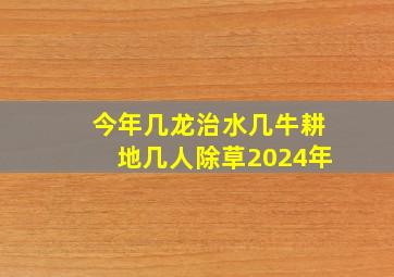 今年几龙治水几牛耕地几人除草2024年