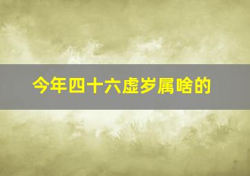 今年四十六虚岁属啥的