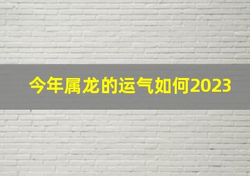 今年属龙的运气如何2023