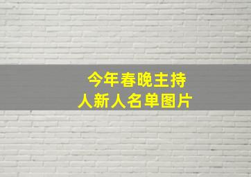 今年春晚主持人新人名单图片