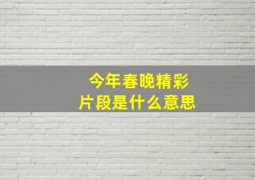 今年春晚精彩片段是什么意思