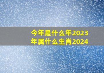 今年是什么年2023年属什么生肖2024