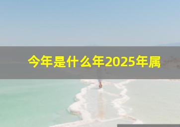 今年是什么年2025年属