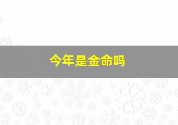 今年是金命吗