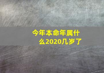 今年本命年属什么2020几岁了