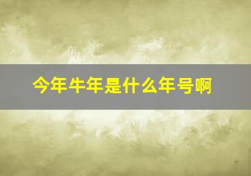 今年牛年是什么年号啊