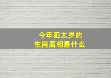 今年犯太岁的生肖属相是什么