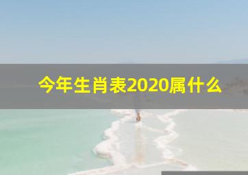 今年生肖表2020属什么