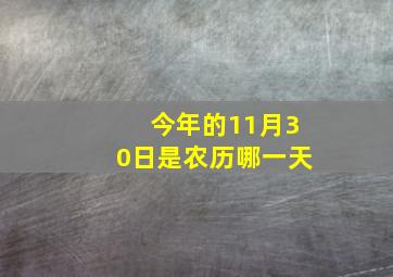 今年的11月30日是农历哪一天