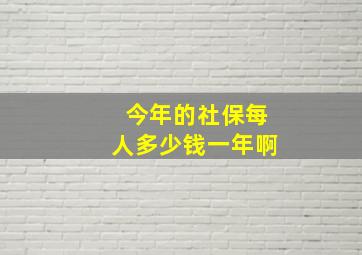 今年的社保每人多少钱一年啊