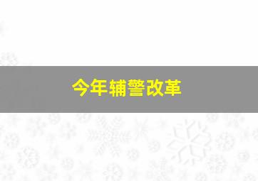 今年辅警改革