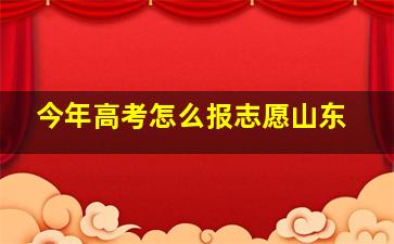 今年高考怎么报志愿山东