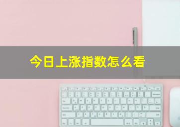 今日上涨指数怎么看