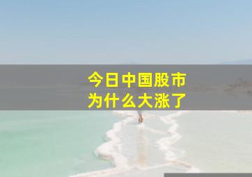 今日中国股市为什么大涨了