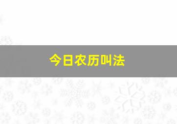 今日农历叫法