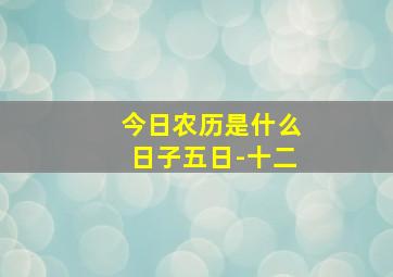 今日农历是什么日子五日-十二