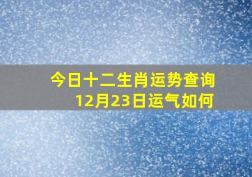 今日十二生肖运势查询12月23日运气如何