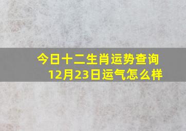 今日十二生肖运势查询12月23日运气怎么样