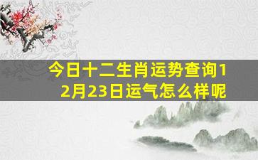 今日十二生肖运势查询12月23日运气怎么样呢