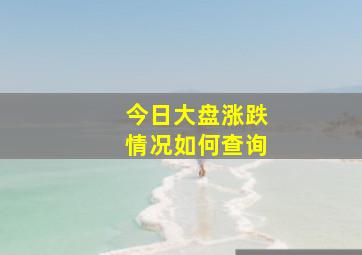 今日大盘涨跌情况如何查询