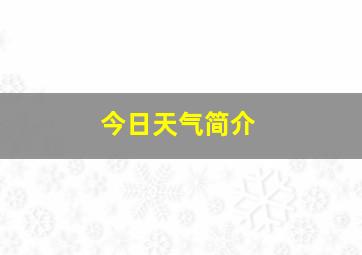 今日天气简介