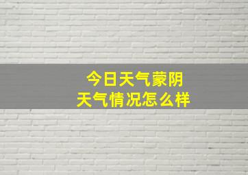 今日天气蒙阴天气情况怎么样