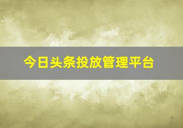 今日头条投放管理平台