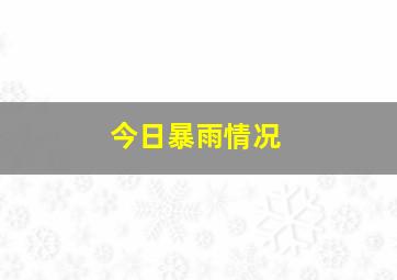 今日暴雨情况