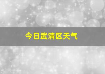 今日武清区天气