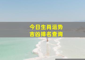 今日生肖运势吉凶排名查询