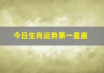 今日生肖运势第一星座