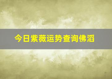 今日紫薇运势查询佛滔