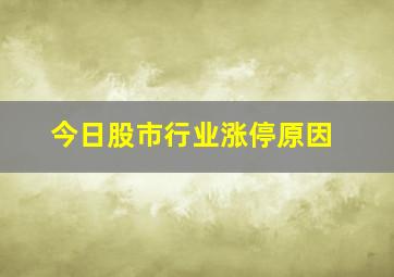 今日股市行业涨停原因