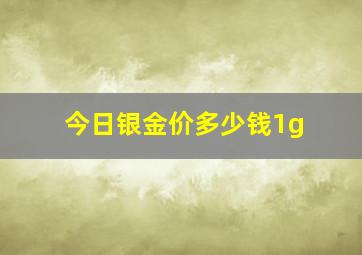 今日银金价多少钱1g