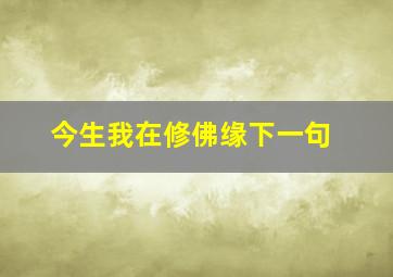 今生我在修佛缘下一句