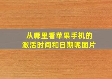 从哪里看苹果手机的激活时间和日期呢图片