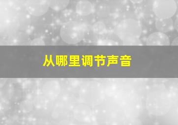 从哪里调节声音