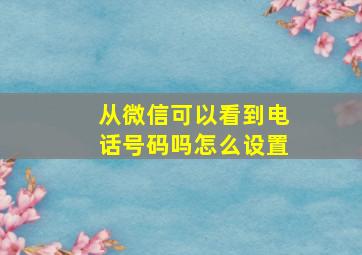 从微信可以看到电话号码吗怎么设置