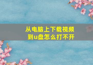 从电脑上下载视频到u盘怎么打不开