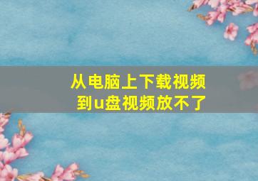 从电脑上下载视频到u盘视频放不了