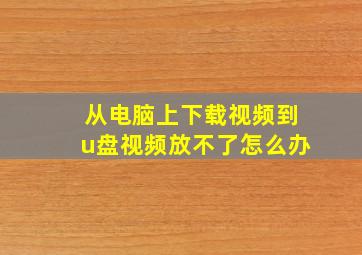 从电脑上下载视频到u盘视频放不了怎么办