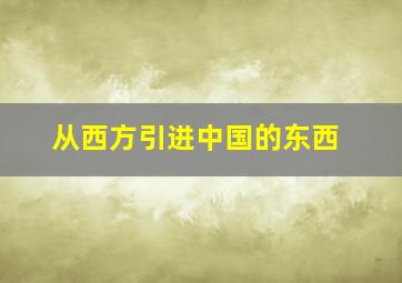 从西方引进中国的东西