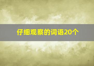 仔细观察的词语20个