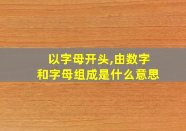 以字母开头,由数字和字母组成是什么意思