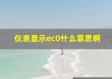 仪表显示ec0什么意思啊