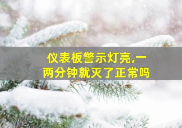 仪表板警示灯亮,一两分钟就灭了正常吗